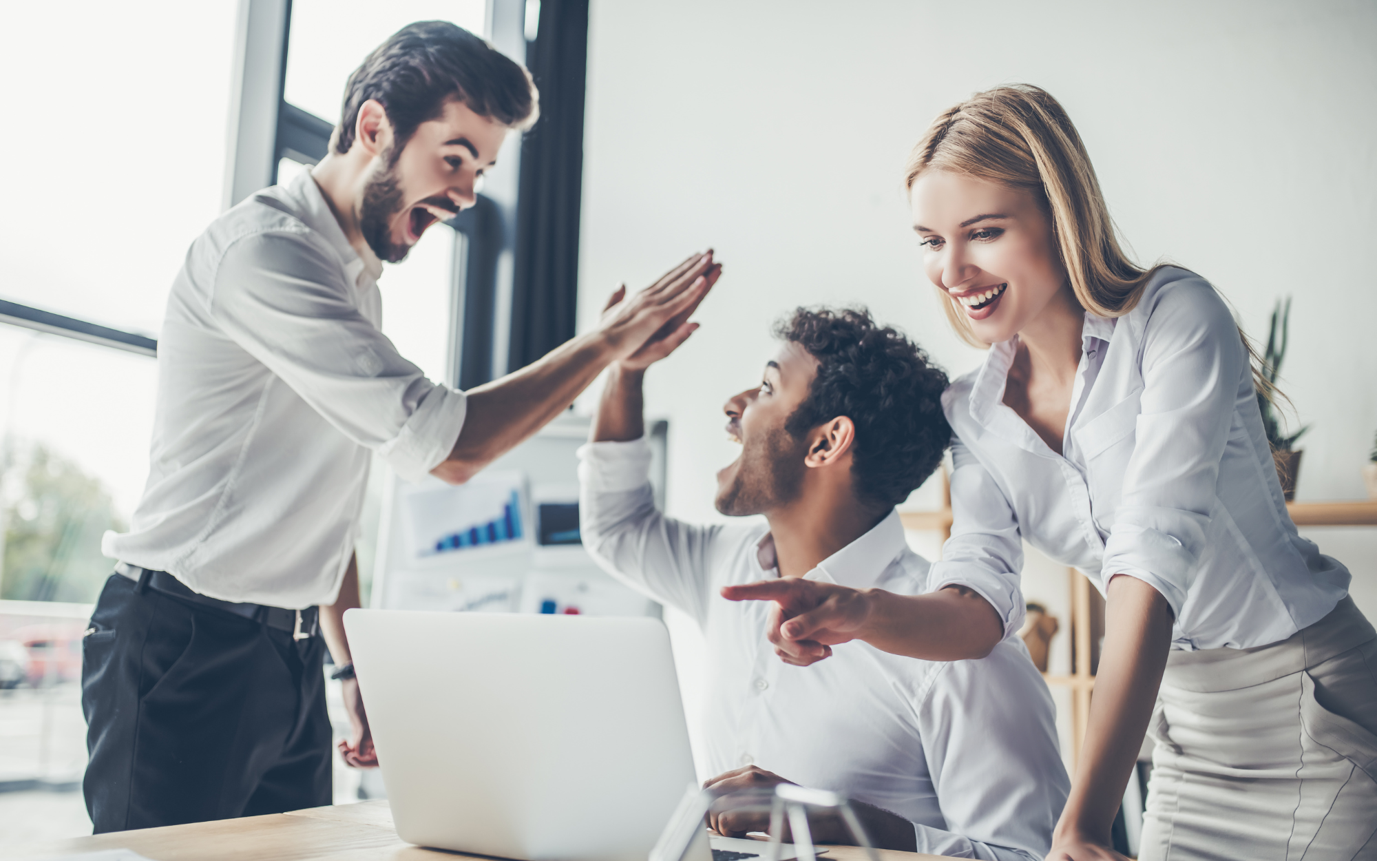 PROGRAMMI PER LE AZIENDE